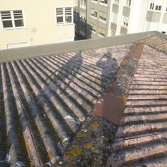CUBIERTA: ANTES DE OBRA