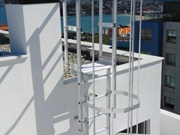 ESCALERAS CON PROTECCION DORSAL 