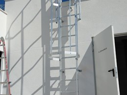 ESCALERAS CON PROTECCION DORSAL 