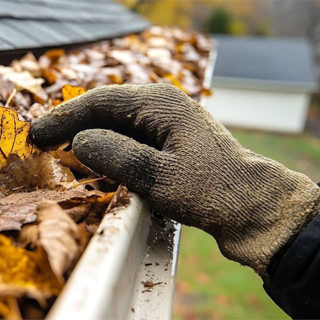 Limpieza y mantenimiento