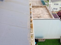 LIMPIEZA DE CANALONES (1)