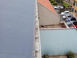 LIMPIEZA DE CANALONES (2)