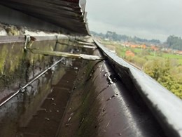 LIMPIEZA DE CANALONES (3)