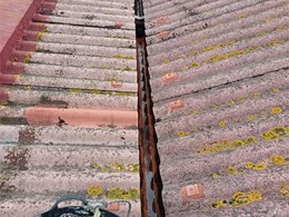 LIMPIEZA DE CANALONES (4)