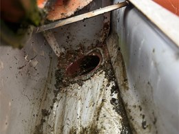 LIMPIEZA DE CANALONES 