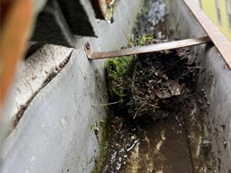 LIMPIEZA DE CANALONES 