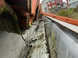 LIMPIEZA DE CANALONES 