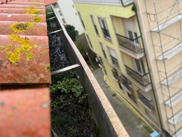 LIMPIEZA DE CANALONES 