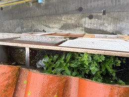 LIMPIEZA DE CANALONES 