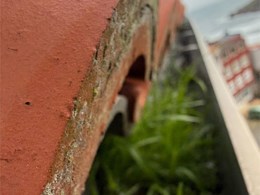 LIMPIEZA DE CANALONES 