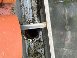 LIMPIEZA DE CANALONES 