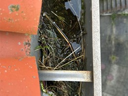 LIMPIEZA DE CANALONES 