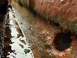 LIMPIEZA DE CANALONES 