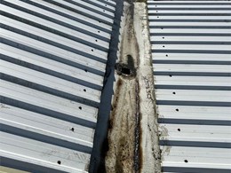 LIMPIEZA DE CANALONES 