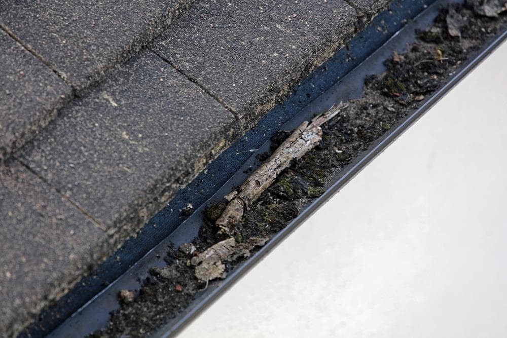 Por qué la limpieza de canalones es crucial para el mantenimiento de edificios