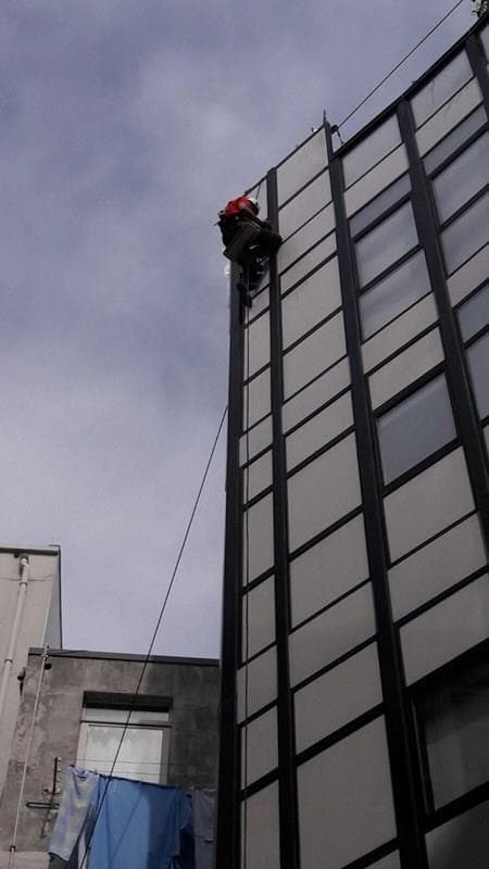 ¿Qué saber sobre las líneas de vida?