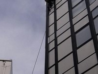 ¿Qué saber sobre las líneas de vida?