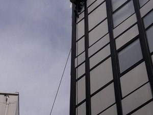 ¿Qué saber sobre las líneas de vida?