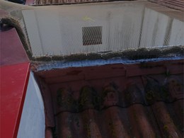 RED ANTIPAJAROS