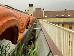 WhatsApp Image 2026-02-05 at 09.19.39 (2)