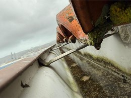 WhatsApp Image 2026-02-05 at 09.19.41 (1)