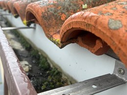 WhatsApp Image 2026-02-05 at 09.19.53 (2)