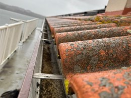 WhatsApp Image 2026-02-05 at 09.19.54 (2)