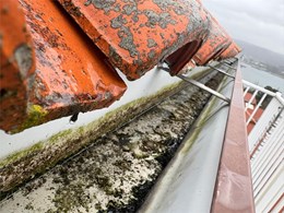 WhatsApp Image 2026-02-05 at 09.19.56 (3)