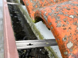 WhatsApp Image 2026-02-05 at 09.19.57 (1)