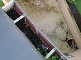 WhatsApp Image 2026-02-10 at 17.14.05 (1)