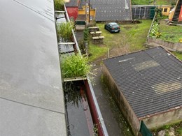 WhatsApp Image 2026-02-10 at 17.25.07 - copia