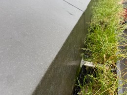 WhatsApp Image 2026-02-10 at 17.25.08 (2) - copia