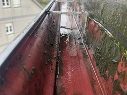 WhatsApp Image 2026-02-10 at 17.25.08