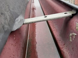 WhatsApp Image 2026-02-10 at 17.25.11 (2)