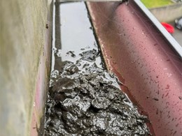 WhatsApp Image 2026-02-10 at 17.25.13 (1)