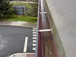 WhatsApp Image 2026-02-10 at 17.25.16